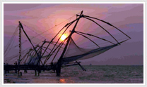 Cochin Beach Tour