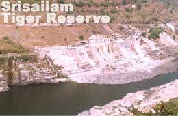 Srisailam Tiger Reserve