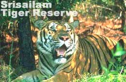 Srisailam Tiger Reserve