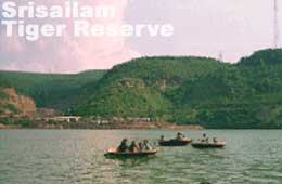 Srisailam Tiger Reserve